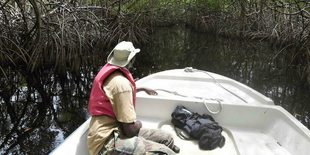 ghana :-face-a-la-montee-des-eaux,-l’enjeu-de-la-preservation-des-mangroves 