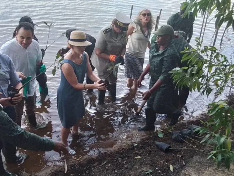 erosion-cotiere-:-les-populations-d’azuretti-invitees-a-preserver-les-mangroves-|-abidjantv.net