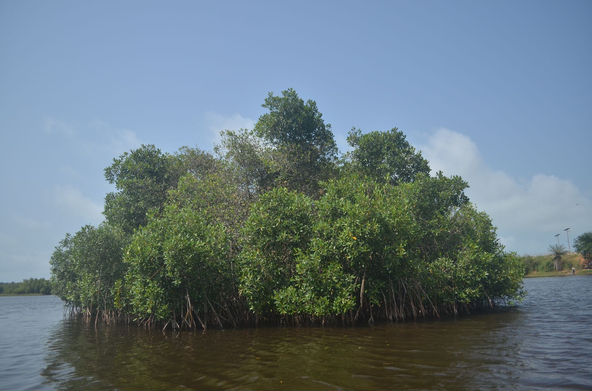 524044878_1041793687983482_7689243420210670541_n